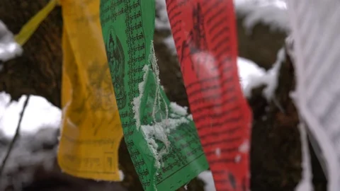 Prayer flags swaying under the snow . Shallow depth of field. Stock Footage 104661078