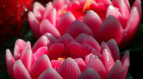 Prayer Light Stock Footage 278771