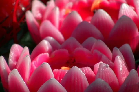 Prayer Light Stock Footage 302131