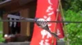 Prayer Scroll Tied To Rope In Front Of Shinto Shrine 4K 4k or 4k+ Resolution