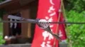 Prayer Scroll Tied To Rope In Front Of Shinto Shrine HD HD Footage