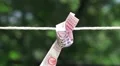 Prayer Scroll Tied On Rope At Shinto Shrine 02 HD HD Footage
