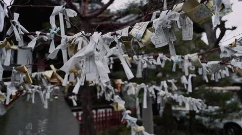 Prayers tied to trees in Japan Stock Footage 49324724