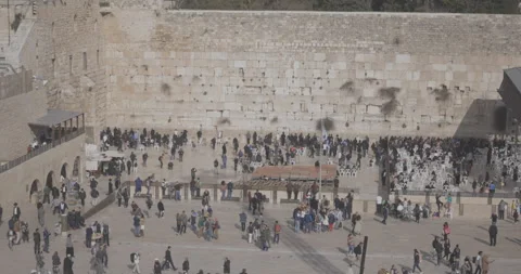 Prayers at the Western Wall, Kotel, Wailing Wall in Old City Jerusalem, Israel Stock Footage 137219914