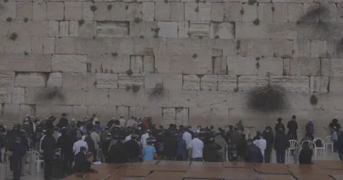 Prayers at the Western Wall, Old City, Jerusalem, Israel Stock Footage 137240013