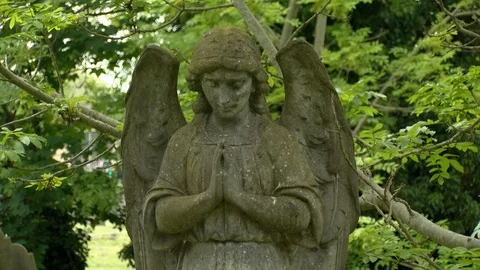 Praying Angel on a cemetery - close up Stock Footage 89876003