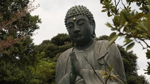 Praying Buddha Statue Close Up Slow Pan through Spring Tokyo Tree Leaves Vídeo Stock 242407120
