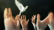 Praying Hands Stock Footage