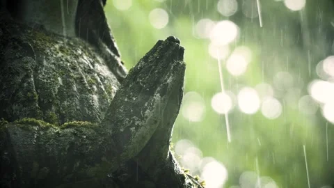 Praying hands of an old angel statue in the rain at Bernardine Cemetery. Stock Footage 337304819