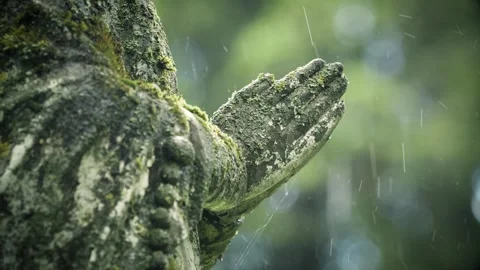 Praying hands of an old st Mary statue in the rain at Bernardine Cemetery. 库存影片 337304823
