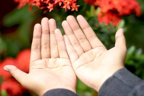 Praying Hands Stock Photos