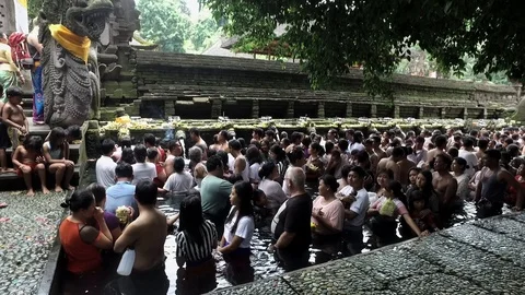 Praying Hindu in the Source of springs in Bali Pura Tirta Empul Stock Footage 104183124