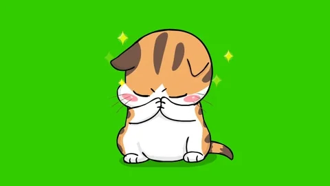Praying Kitten Animation on Green Screen - Ideal for Compositing Stock Footage 282772352