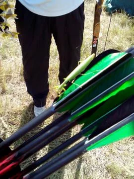 Praying mantis on arrows Stock Photos