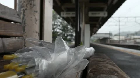 Praying Mantis Stock-Footage 11630676