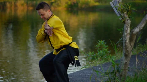 The praying mantis handsfree technique Stock Footage 33689664