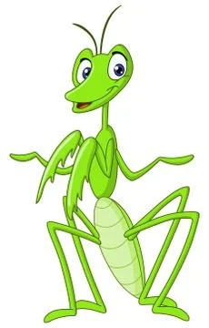 Praying mantis Stock Illustration