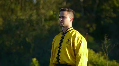 The praying mantis Sword technique Stock Footage 33689648