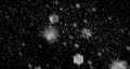 Pre-keyed alpha channel Snow flurry on transparent background HD Footage