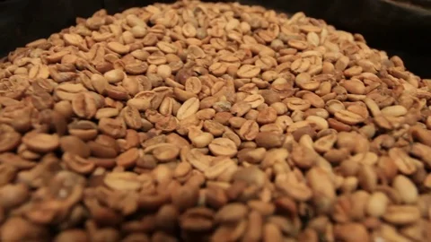 Pre Roasted Coffee Beans Stock Footage 73321211