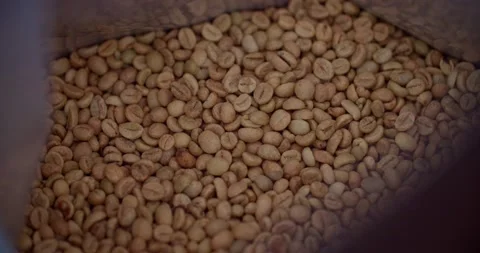 Pre-roasted Coffee Beans Stock Footage 194852894