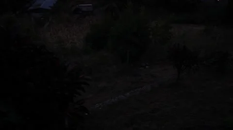 Pre-sunrise at resort Stock Footage 63325724