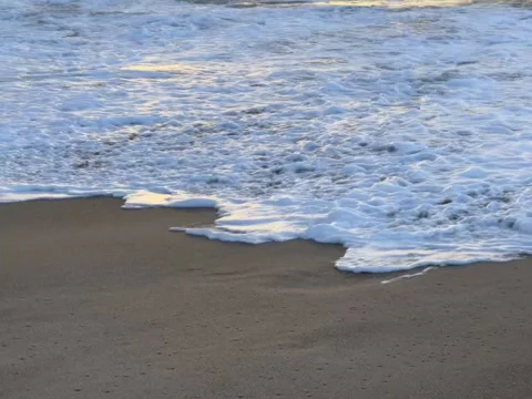 Pre-Sunset Light on the Beach Stock Footage 314946284