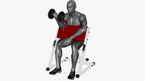 preacher curl single arm dumbbell Stock Video Pond5
