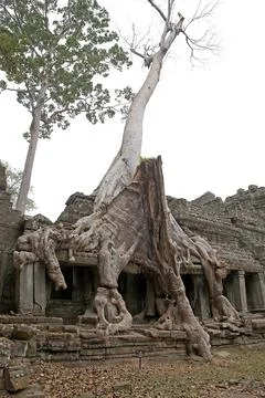 Preah  Khan Stock Photos