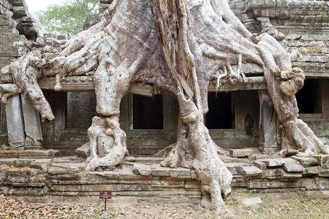 Preah  Khan Stock Photos