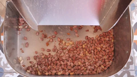 Precessing peanuts in a machine Stock Footage 253457475