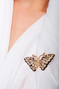 Precious butterfly Stock Photos