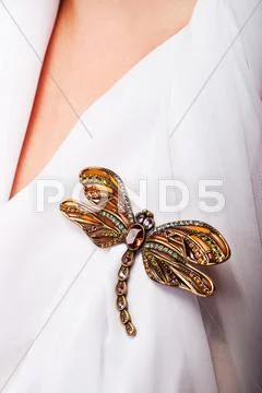 Precious dragonfly Stock Photos