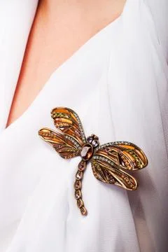 Precious dragonfly Stock Photos