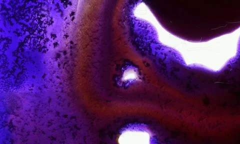 Precious pattern Stock Photos