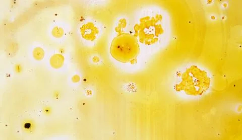Precious pattern Stock Photos