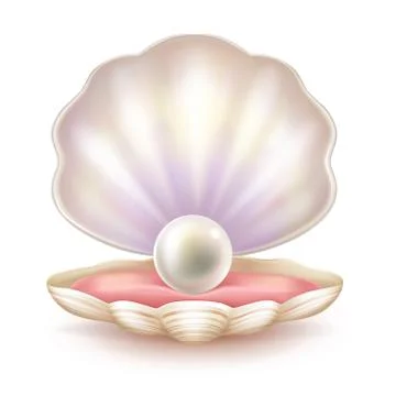 Precious pearl in opened shell realistic Stock-Illustration