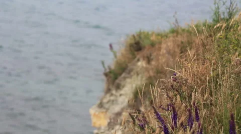 Precipice grass Stock Footage 45614884