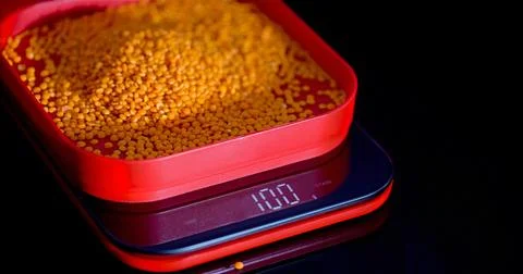 Precise Measurement Of Millet In Container For Nutritional Planning And Cul.. Stock Photos
