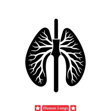 Precise Vector Illustrations of Human Lungs for Medical Illustration Projects Stock Illustration