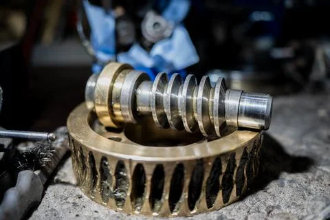 Precision-engineered brass worm gear and steel worm shaft assembly Foto stock