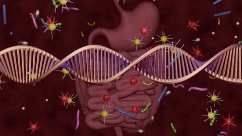 Precision Microbiome Editing. DNA, microbes, intestines. 3d animation render Stock Footage 290982929