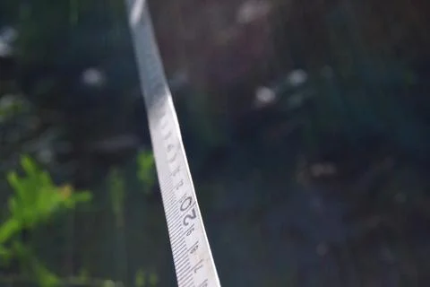 Precision in Nature Stock Photos