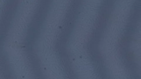 Precision Quantum Lattice Target Core Graphic Видео 340185125