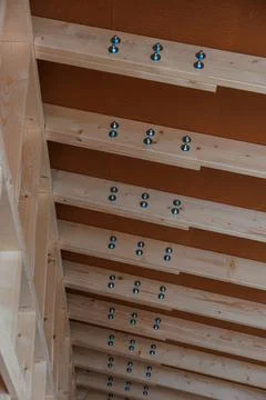 Precision timber ceiling, exposed fasteners in modern interior Stock Photos