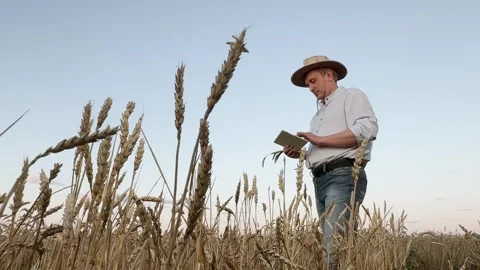 Precision weed detection with technology, Autonomous farming techniques Stock Footage 313210296
