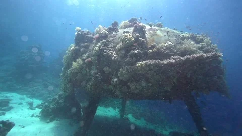 Precontinent  was built by Jacques-Yves Cousteau. Vídeos de archivo 87269222