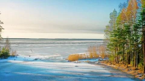 Precursor to Winter, Slender Ice Meets Pine Shadows and Brittle Grass. Aerial Stock Footage 257773641