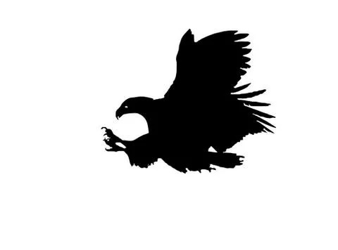 Predator eagle attacks on prey was spotted high above the ground. Stock Illustration