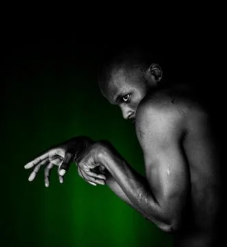 Predator Stock Photos